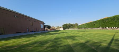 Crocodile Sports Academy