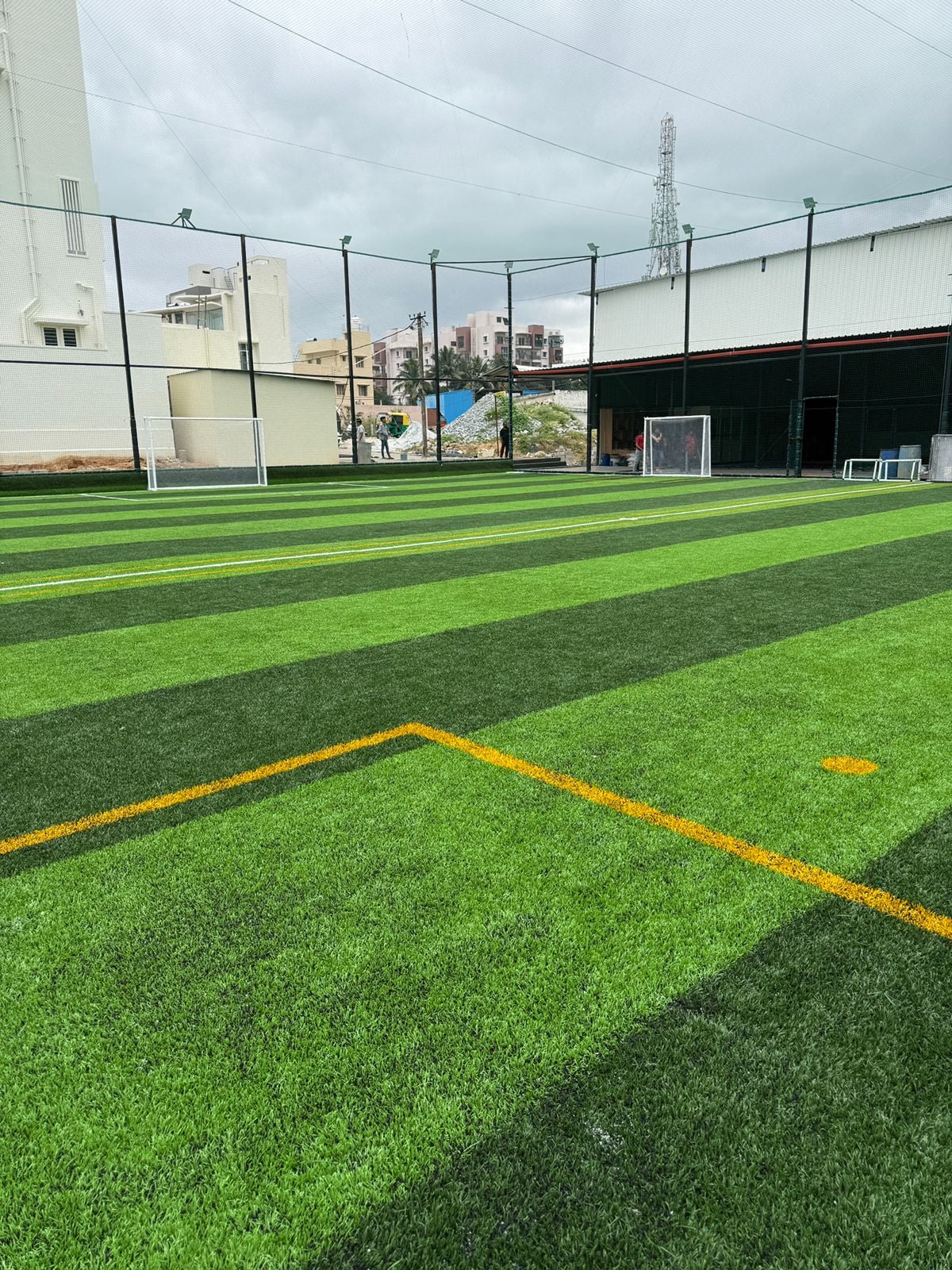Turf photo 3