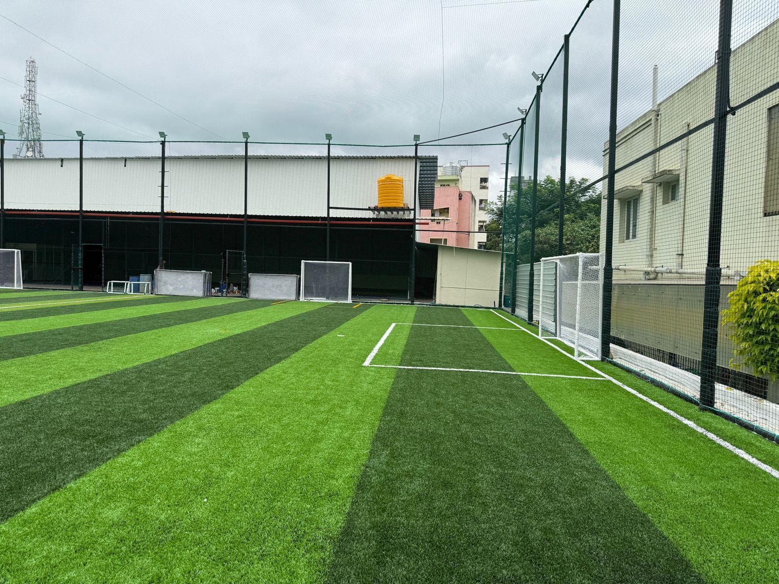 Turf photo 4