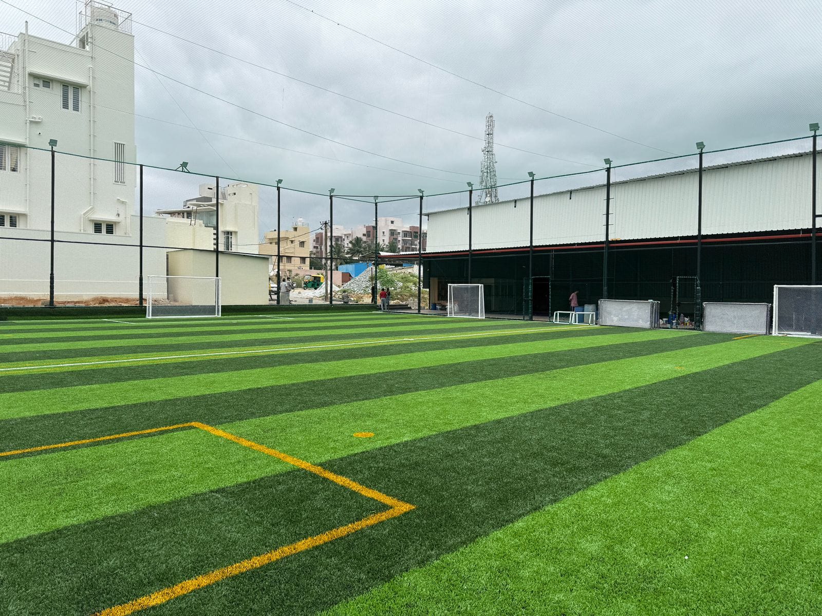 Turf photo 5