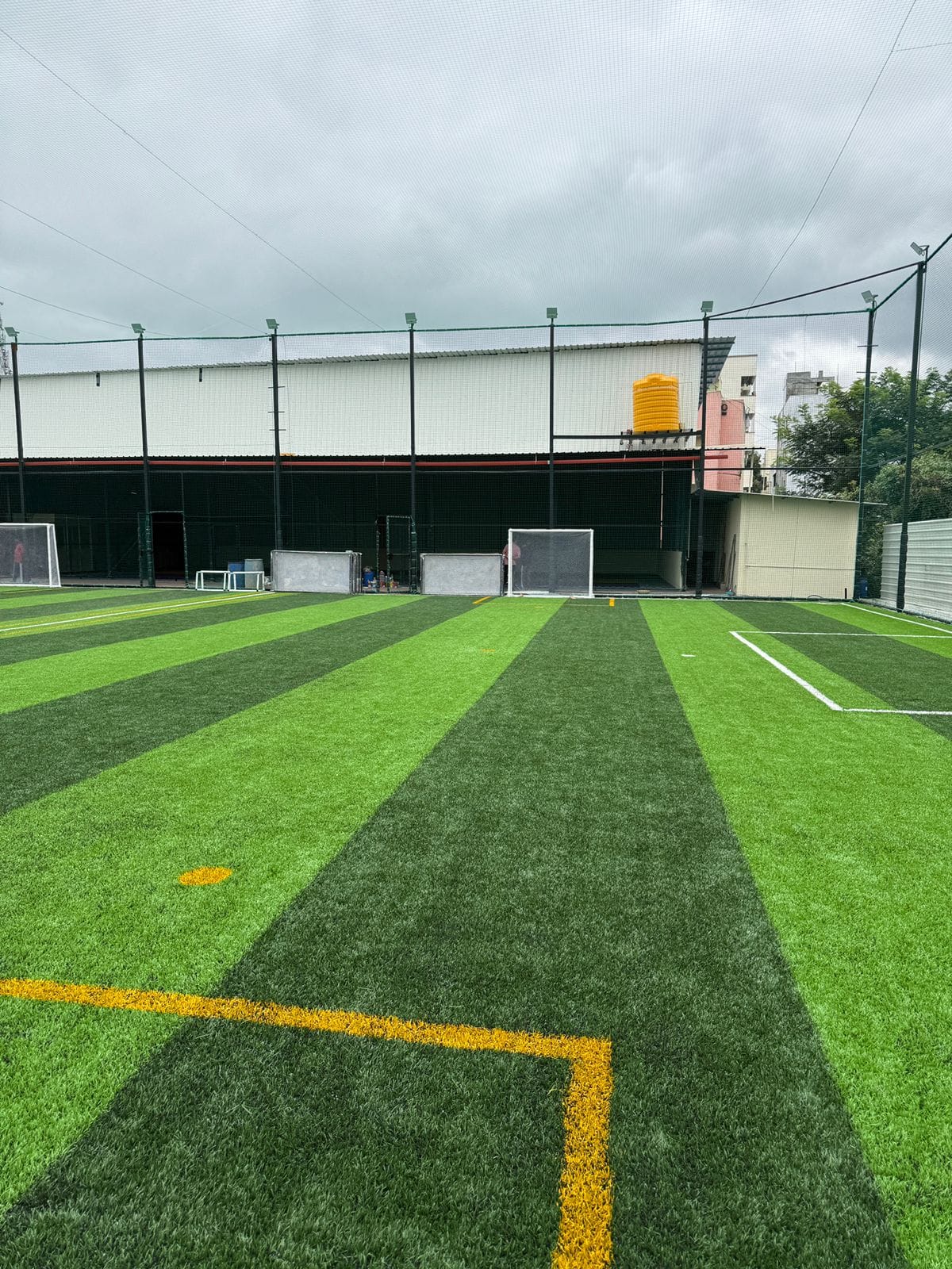 Turf photo 6
