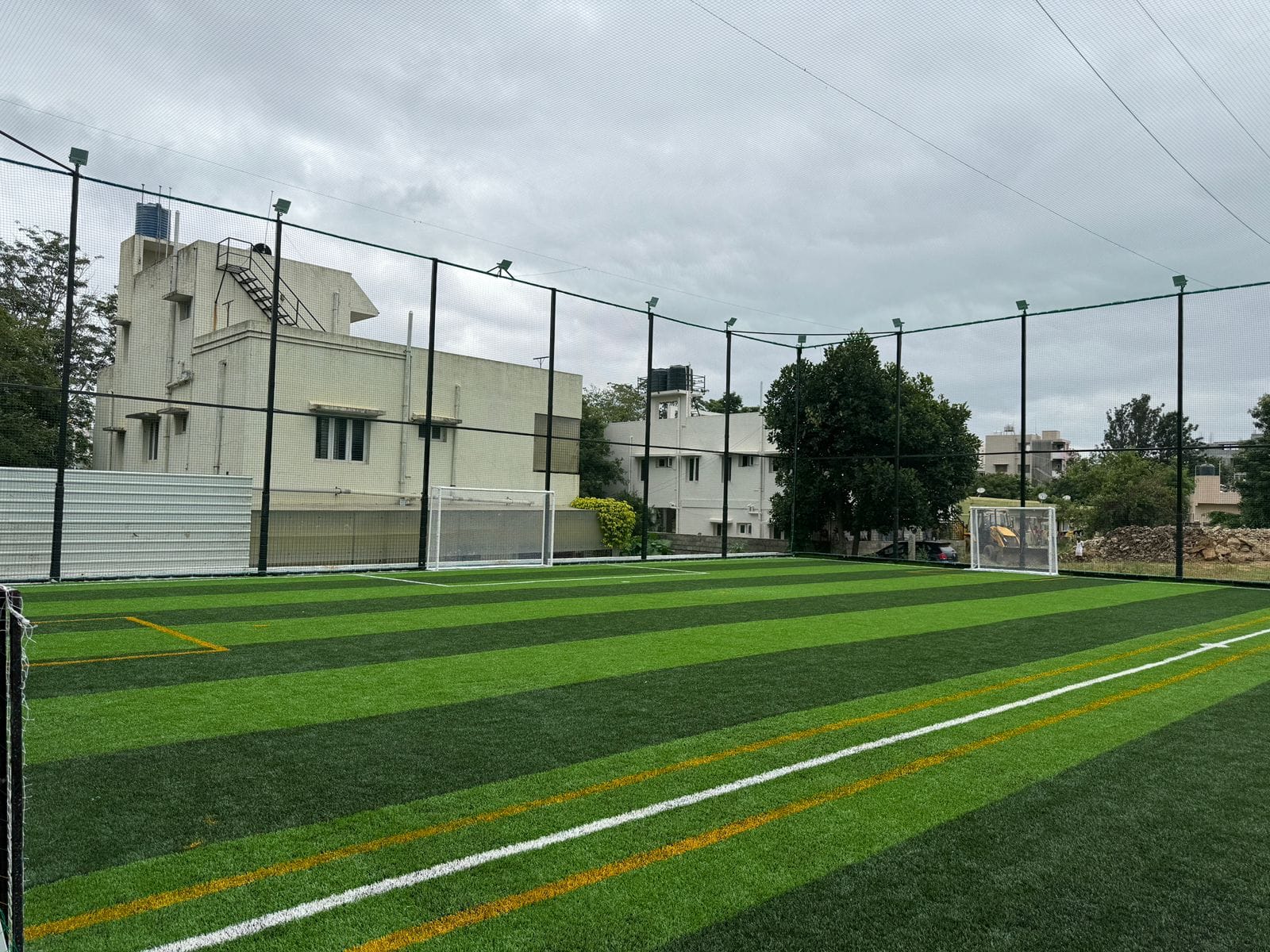 Turf photo 2
