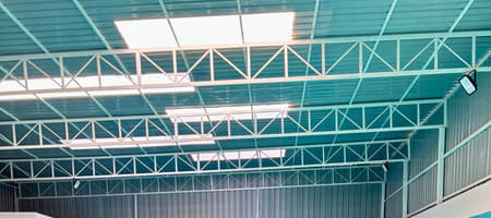 The Swimmers Academy