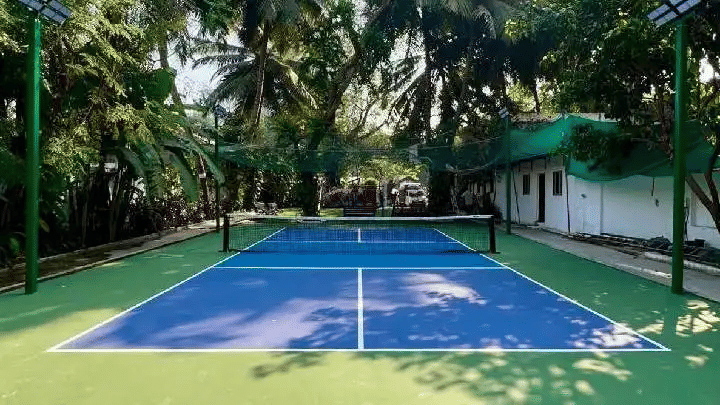 The Wodehouse Gymkhana