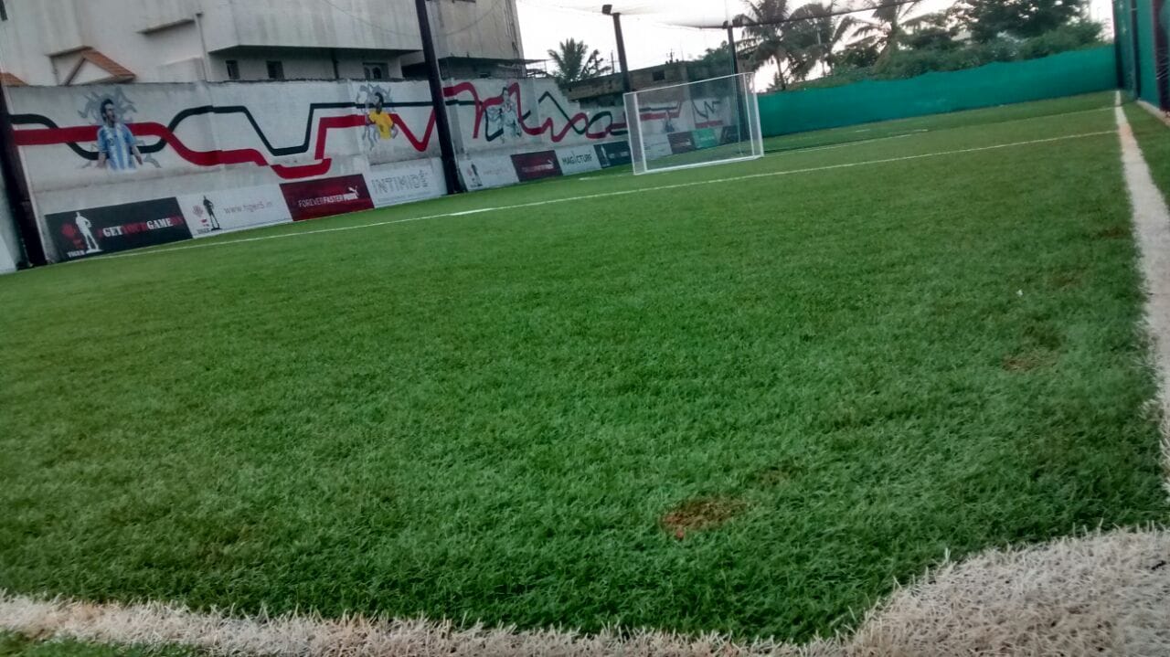Turf photo 7