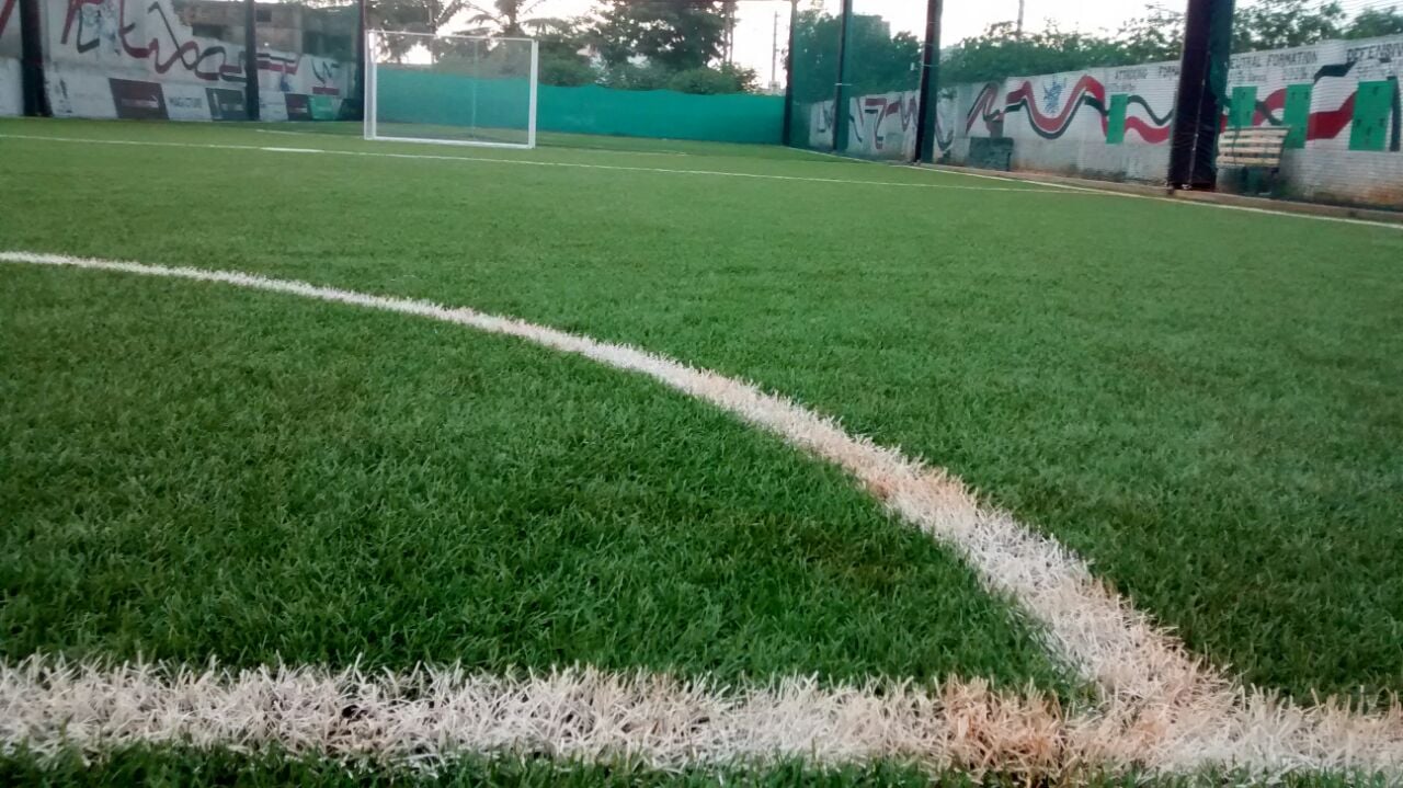 Turf photo 8