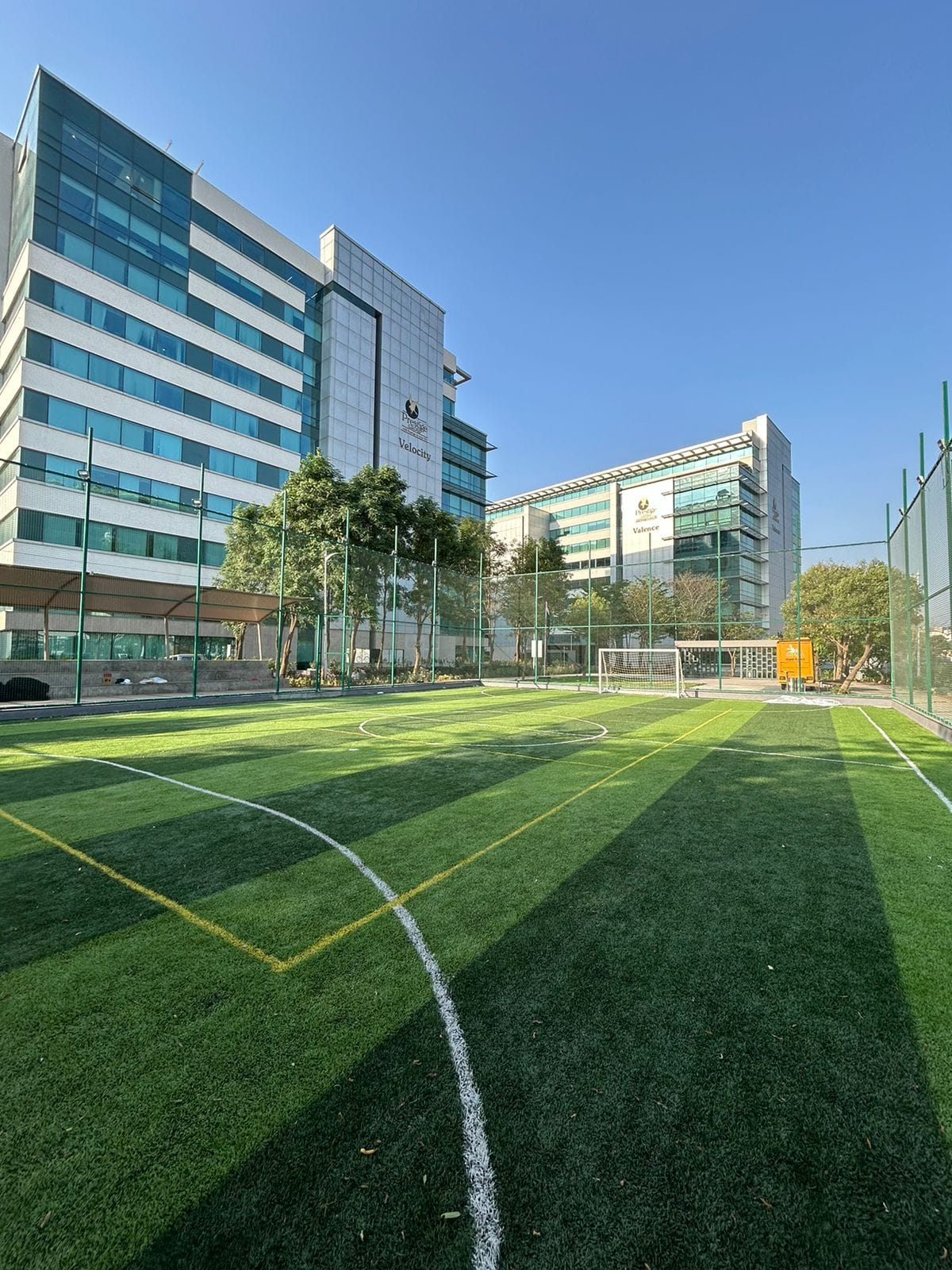 Tiger 5 Sports - PTP 3