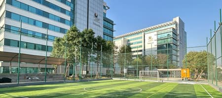 Tiger 5 Sports - PTP 3