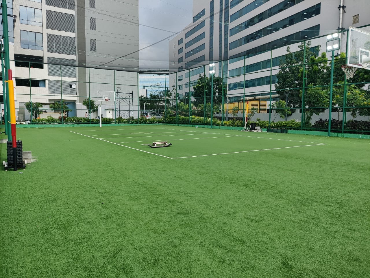 Tiger 5 Sports - PTP 4