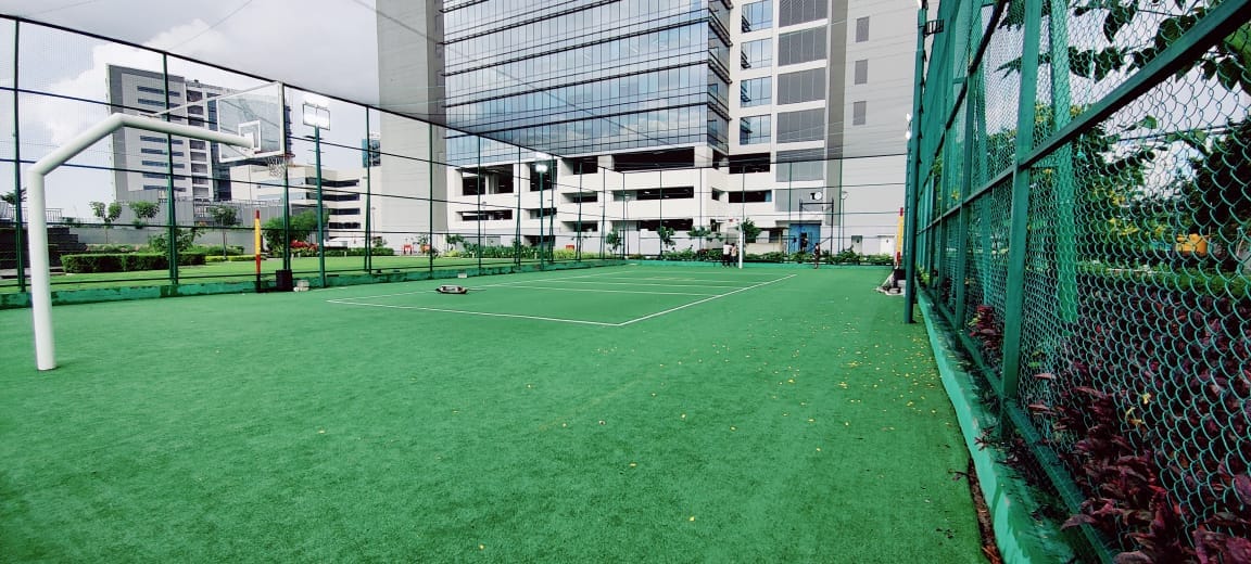 Turf photo 8