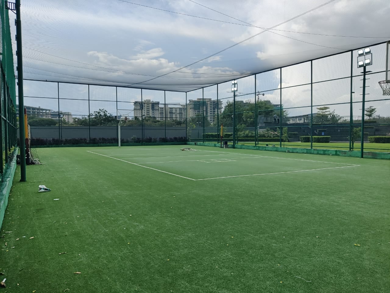 Turf photo 7