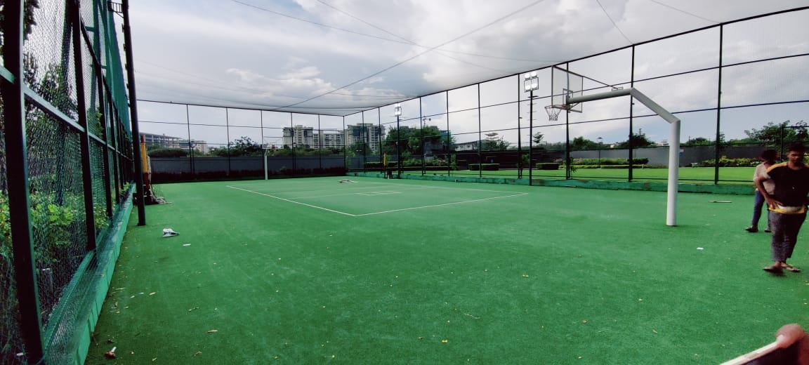 Turf photo 9