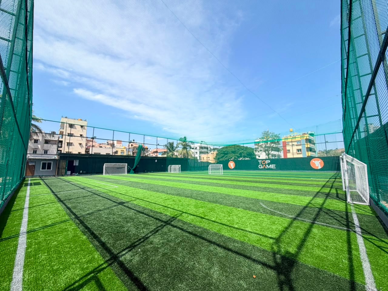 Turf photo 6