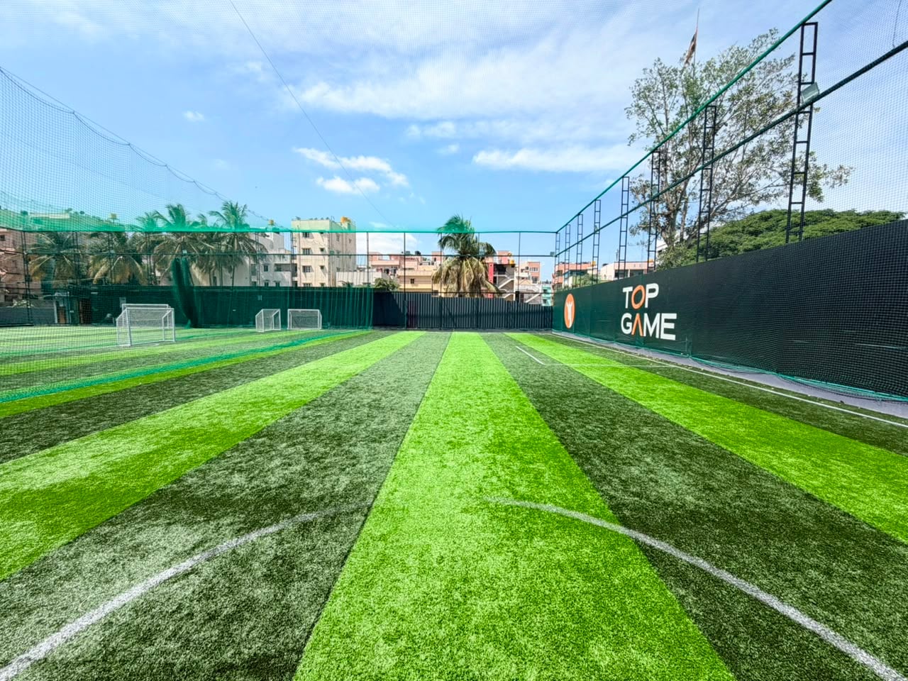Turf photo 8