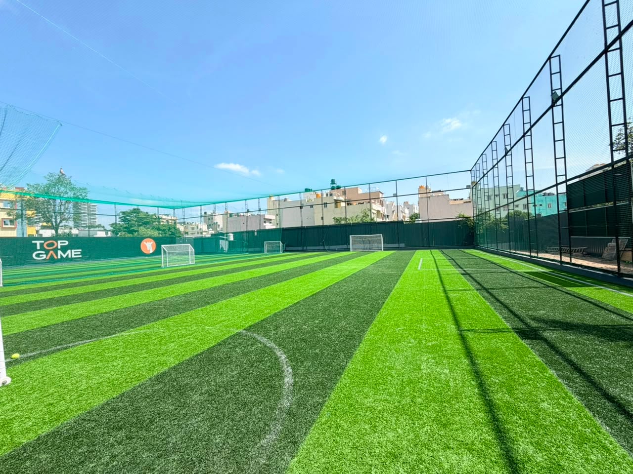 Turf photo 10