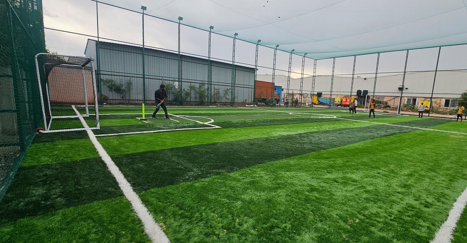 Turf photo 7