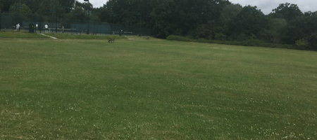Totteridge Tennis Club