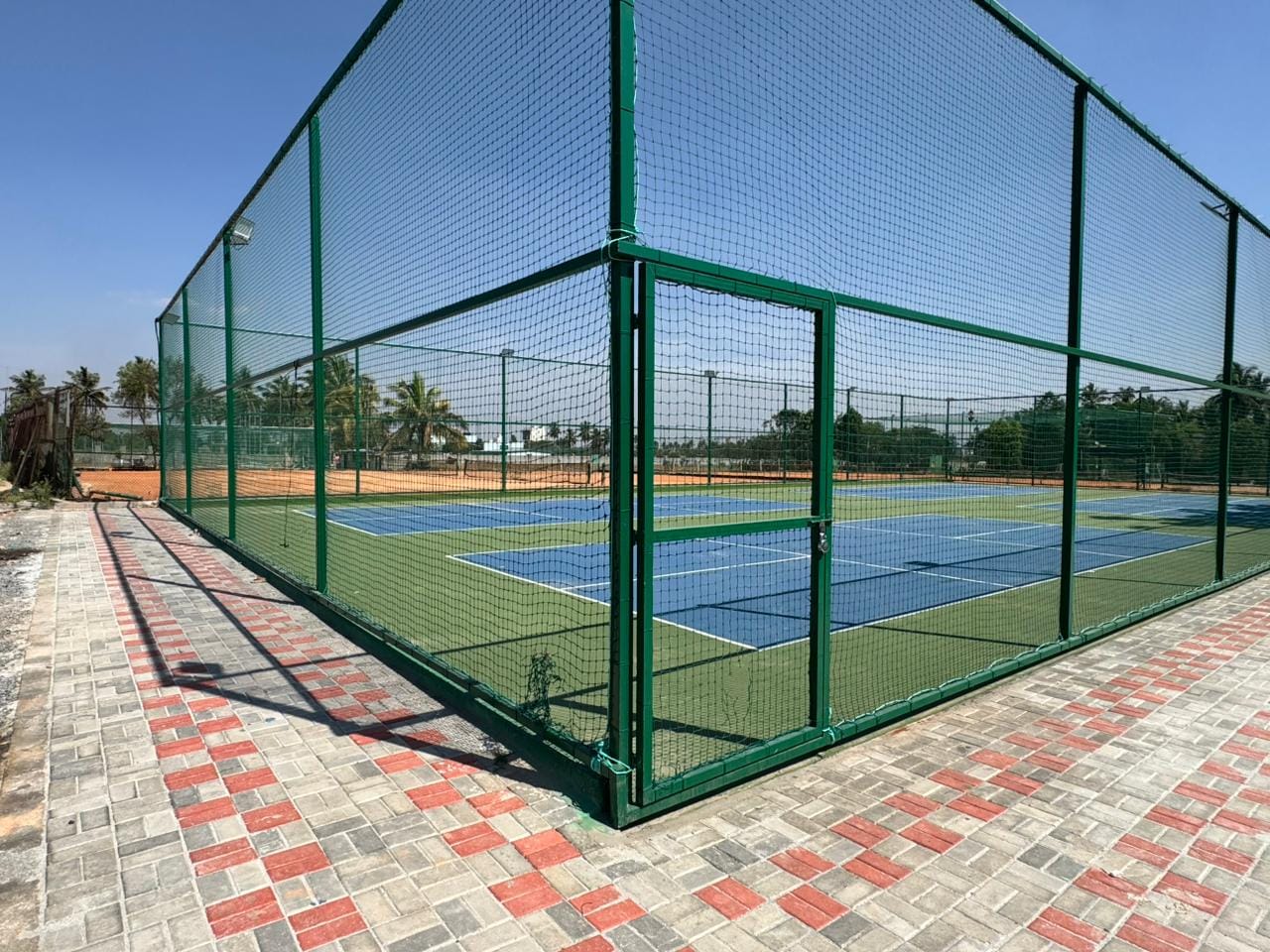 True Bounce Pickleball