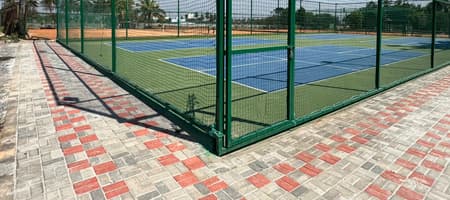 True Bounce Pickleball