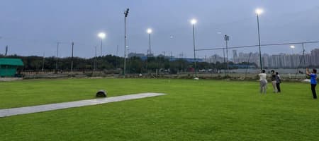 Turf 30 Yard Ground