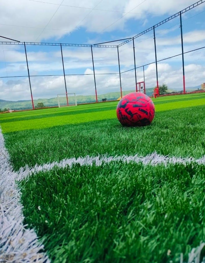 Turf photo 4