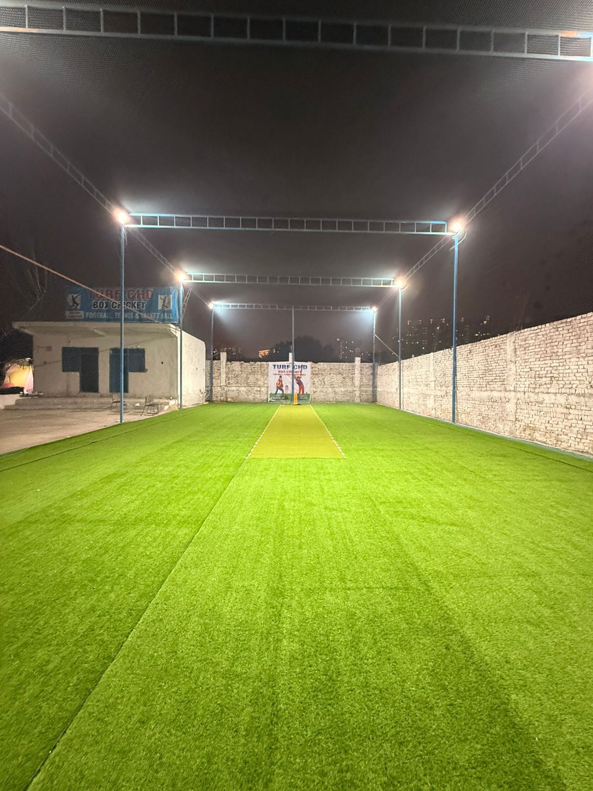 Turf photo 8