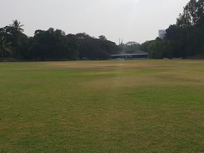 TurfCity Cricket Ground