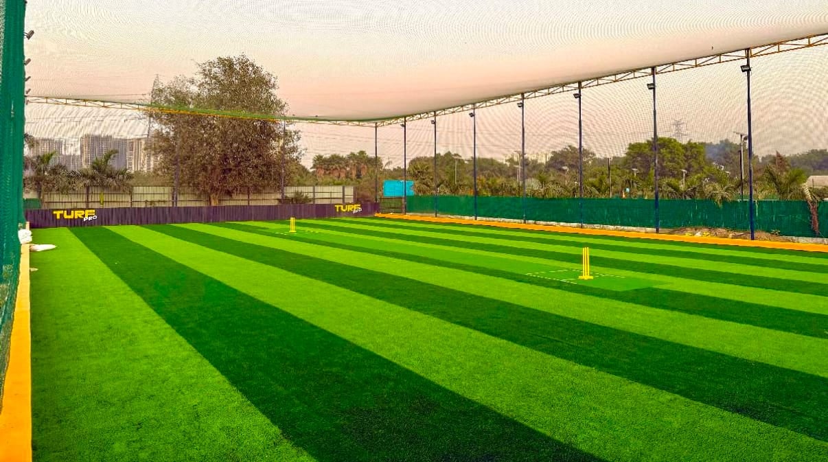 Turf photo 6