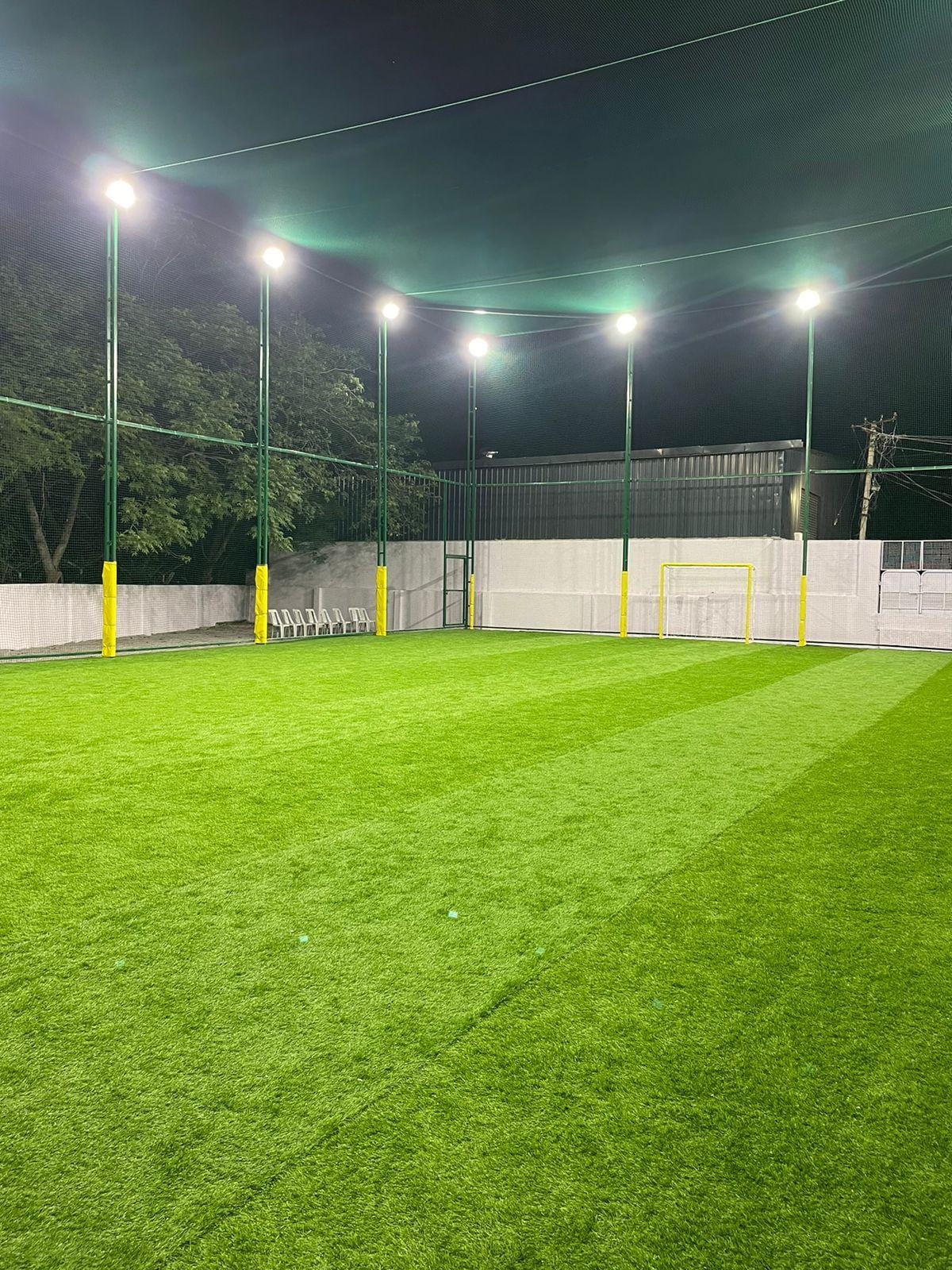Turf photo 6