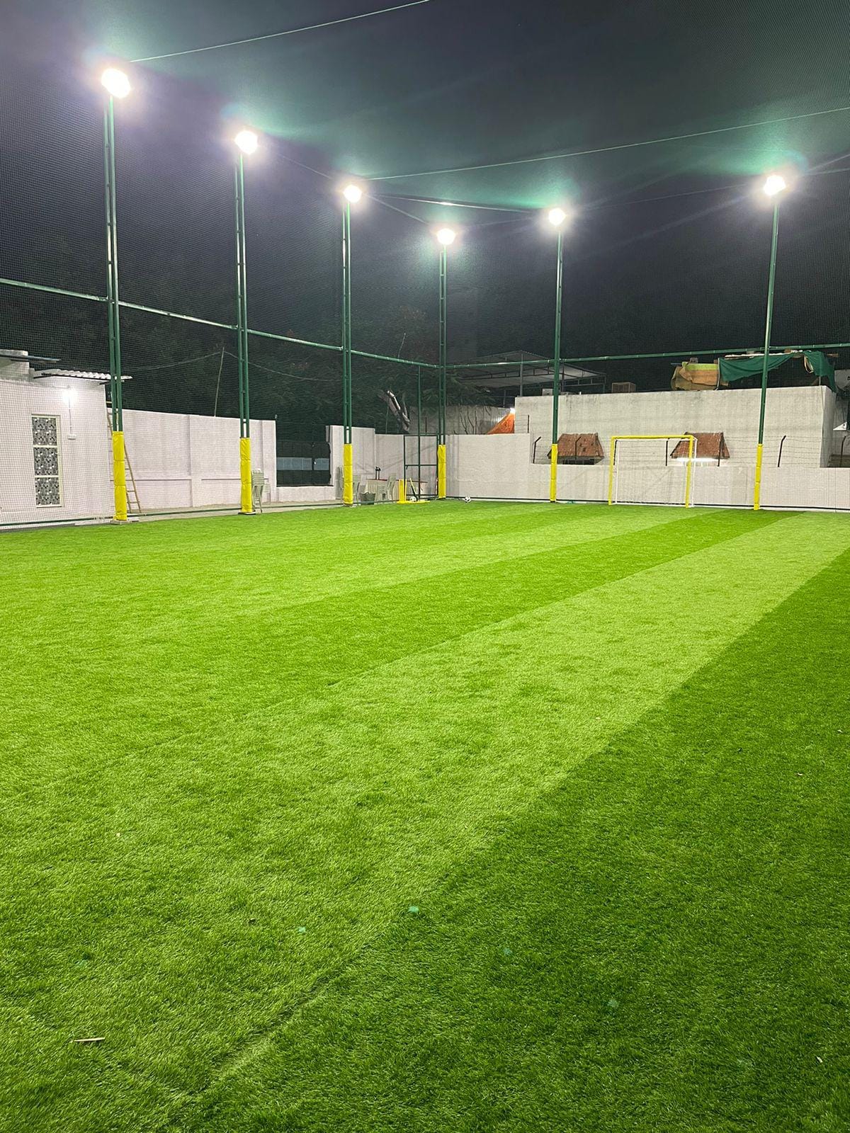 Turf photo 7