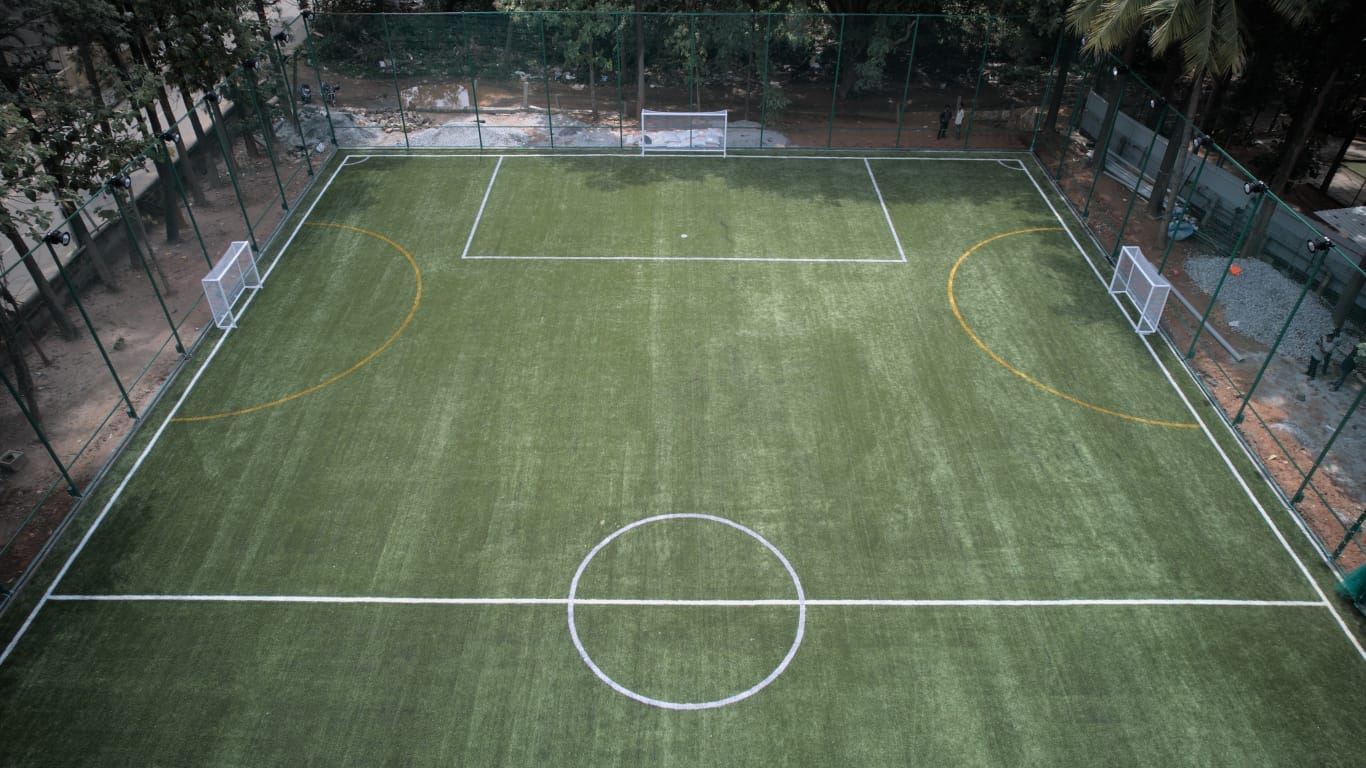 Turf photo 7