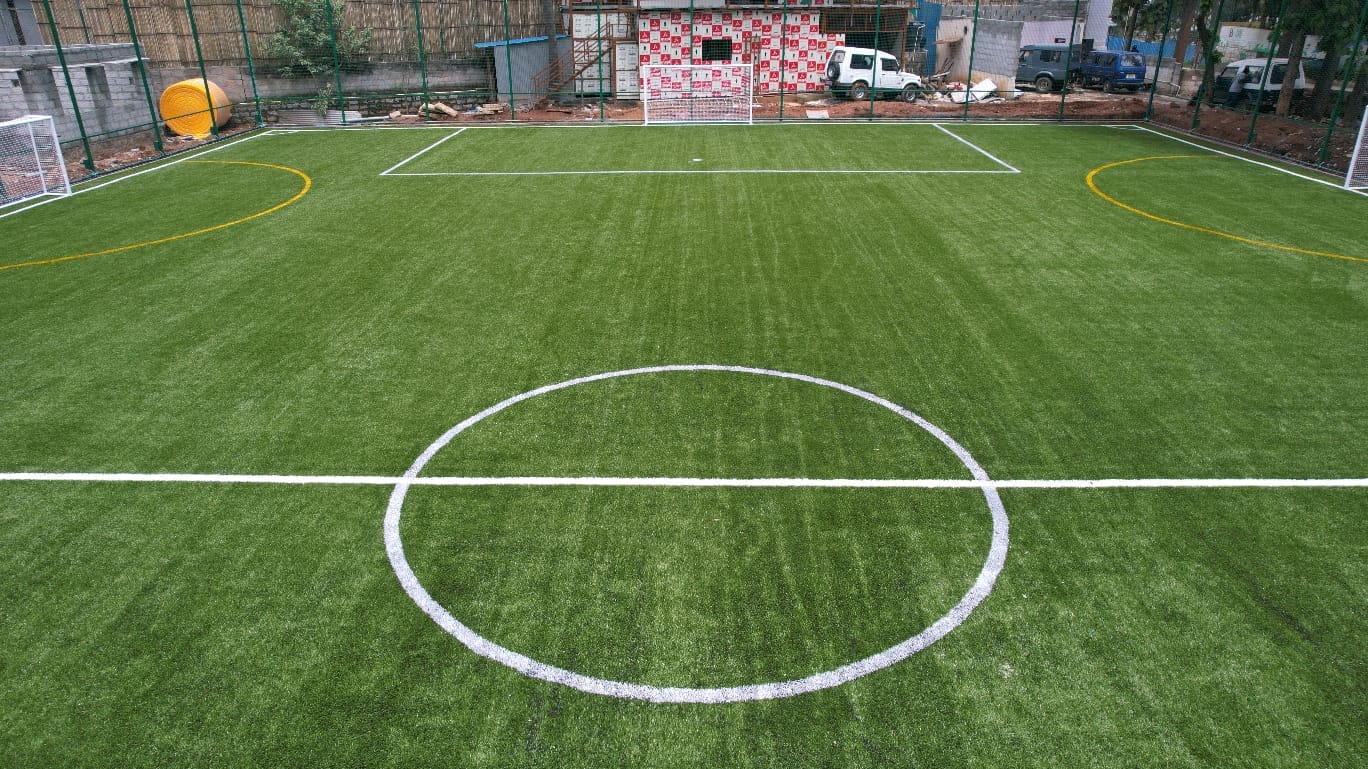 Turf photo 10