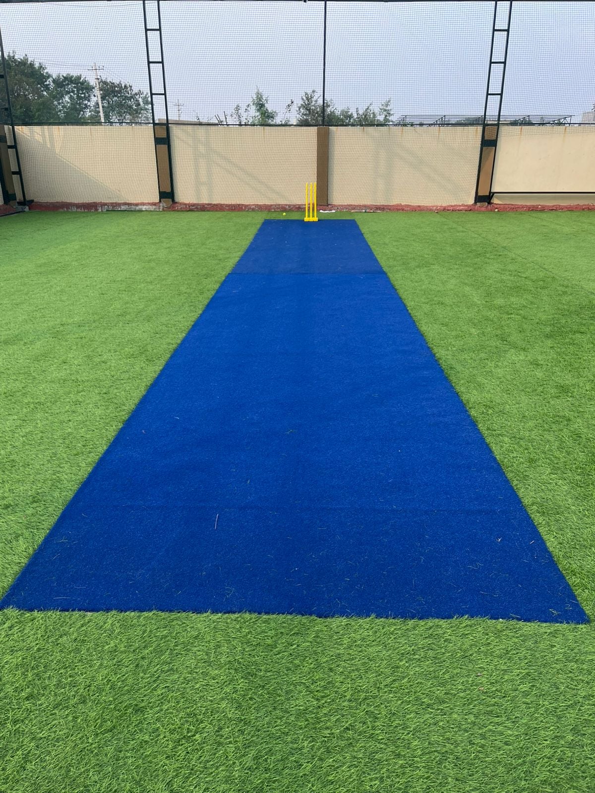 Turf photo 7