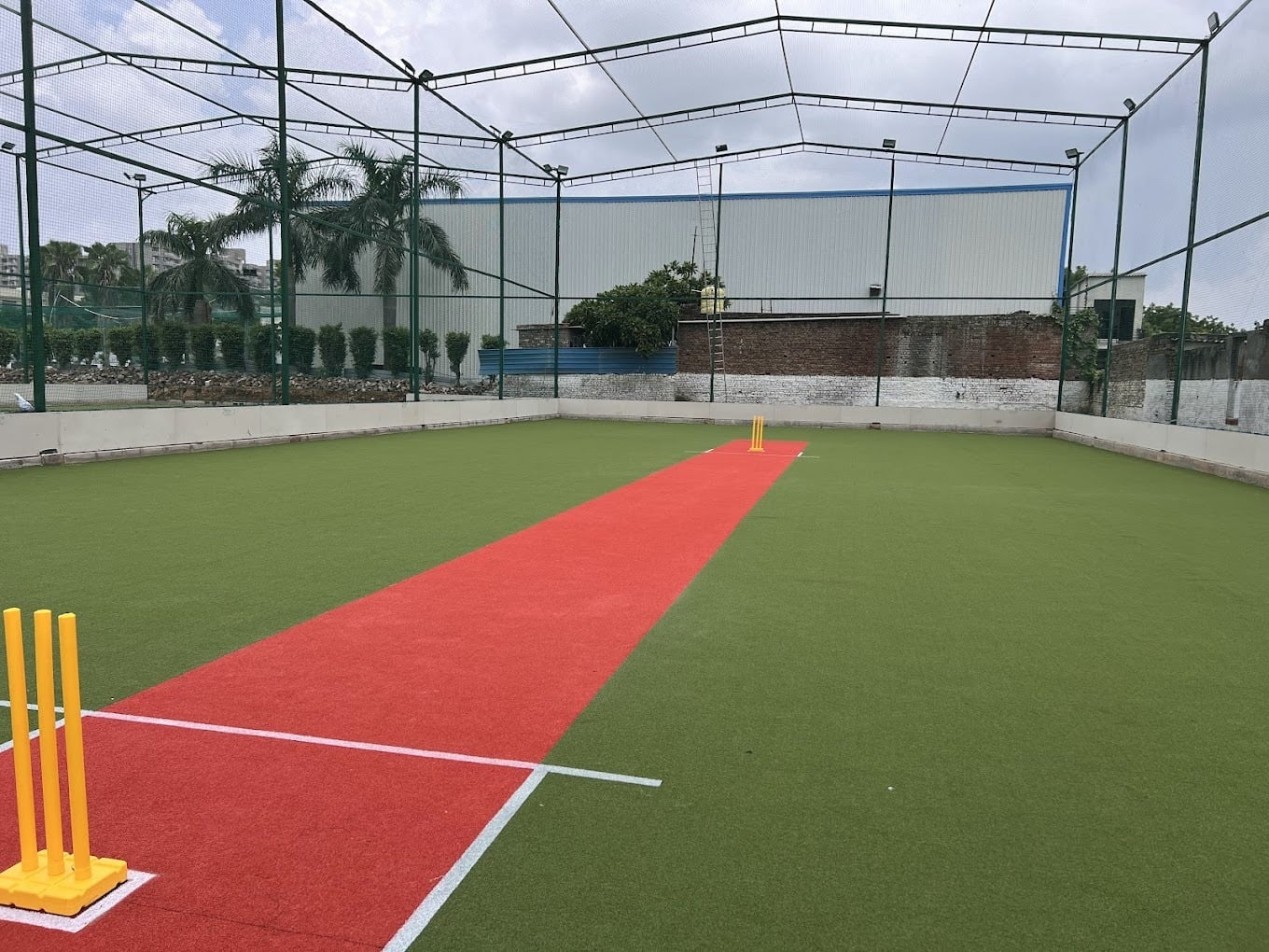 Turf photo 5