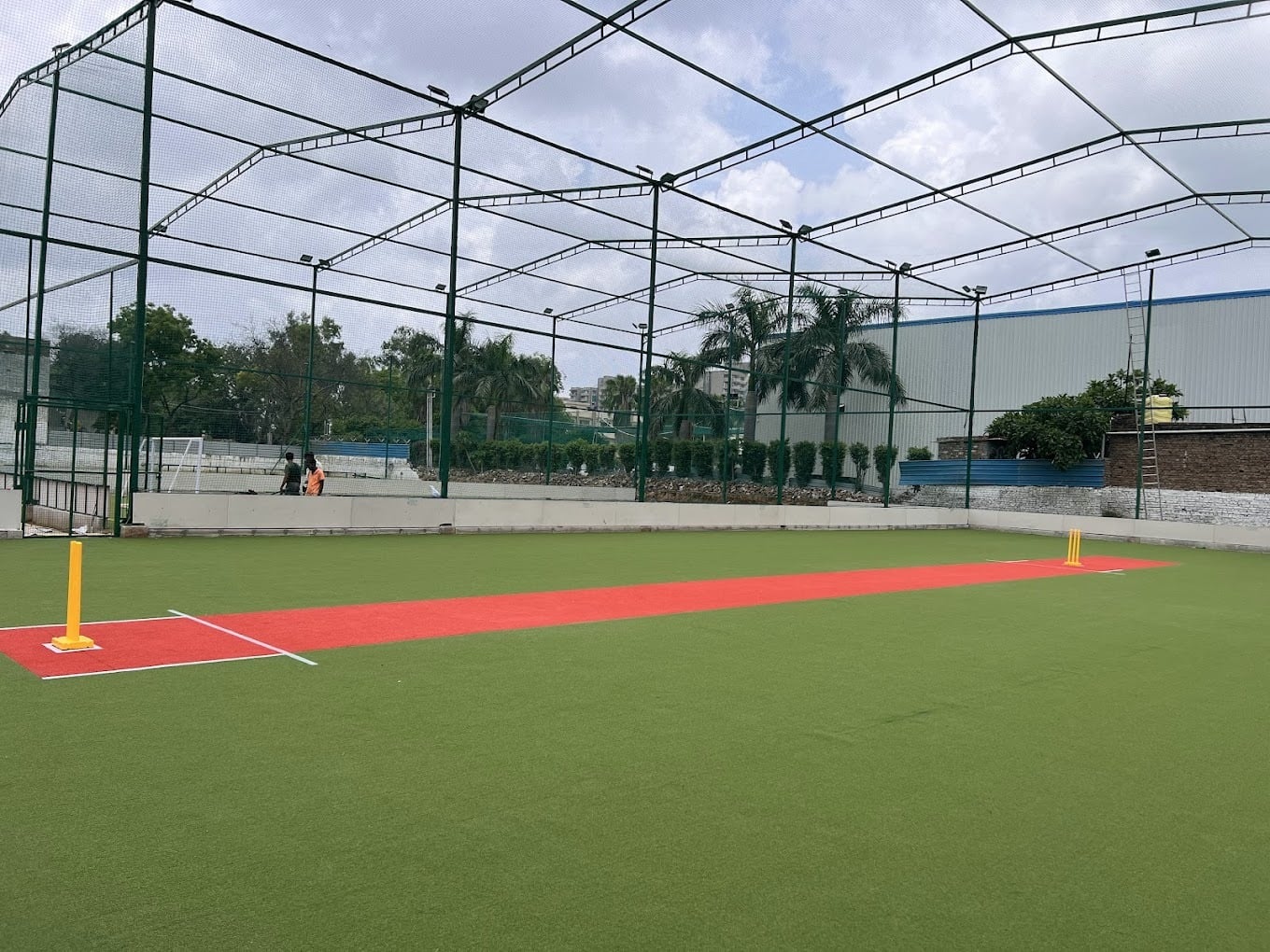 Turf photo 6