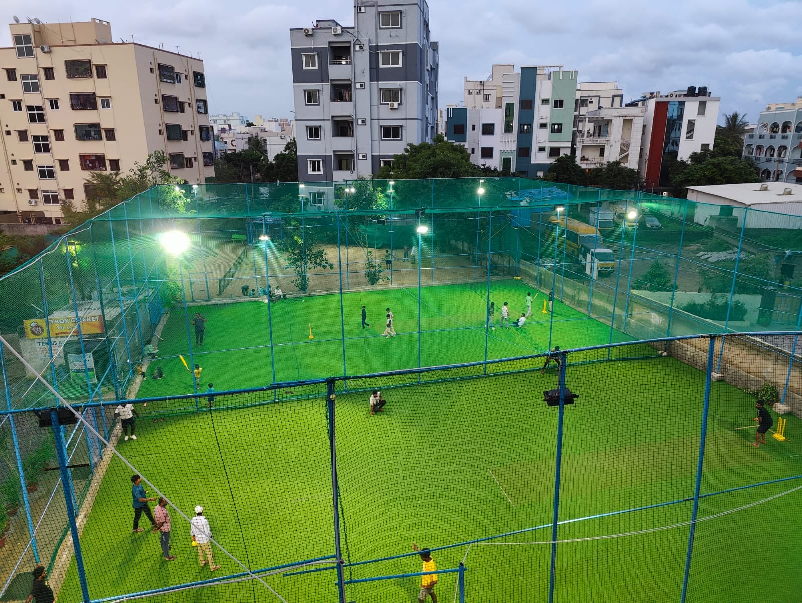 Turf photo 8