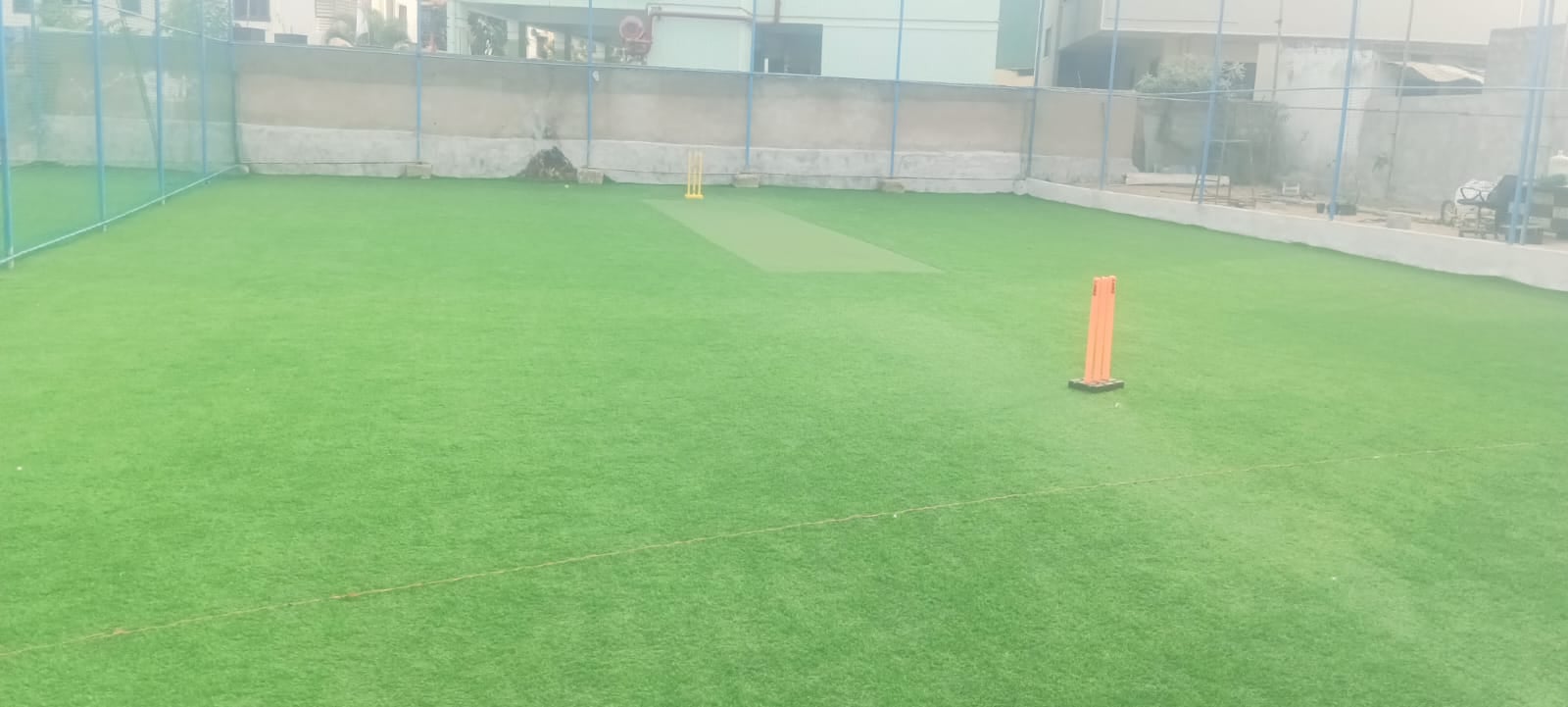 Turf photo 9