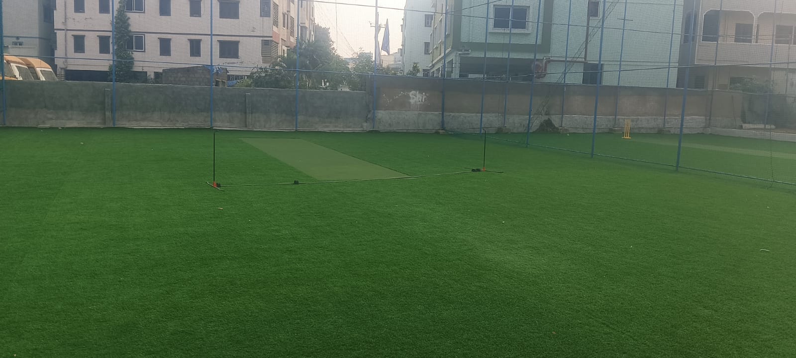 Turf photo 10