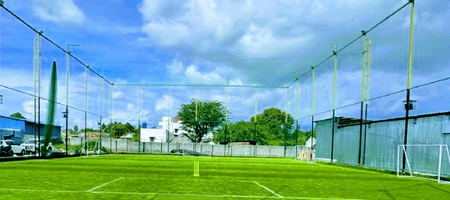 Vaadivaasal Multi-Sport Turf