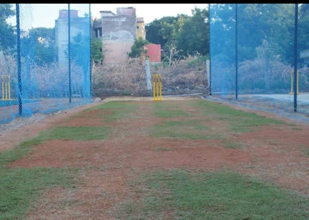VB Cricket Academy