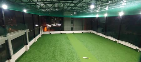 Velocity Turf