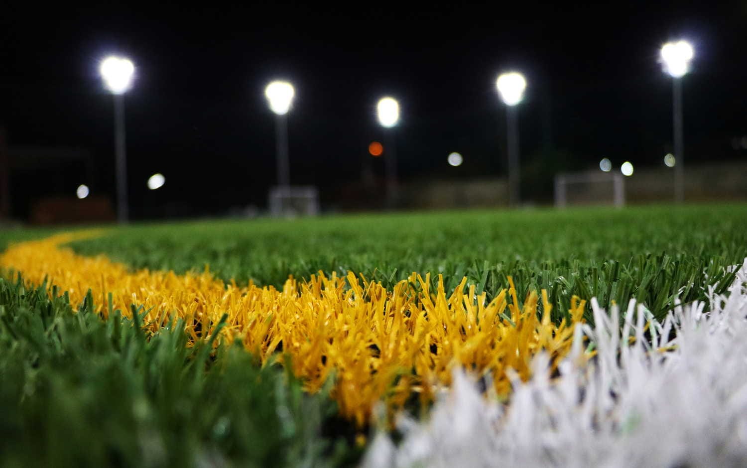 Turf photo 6