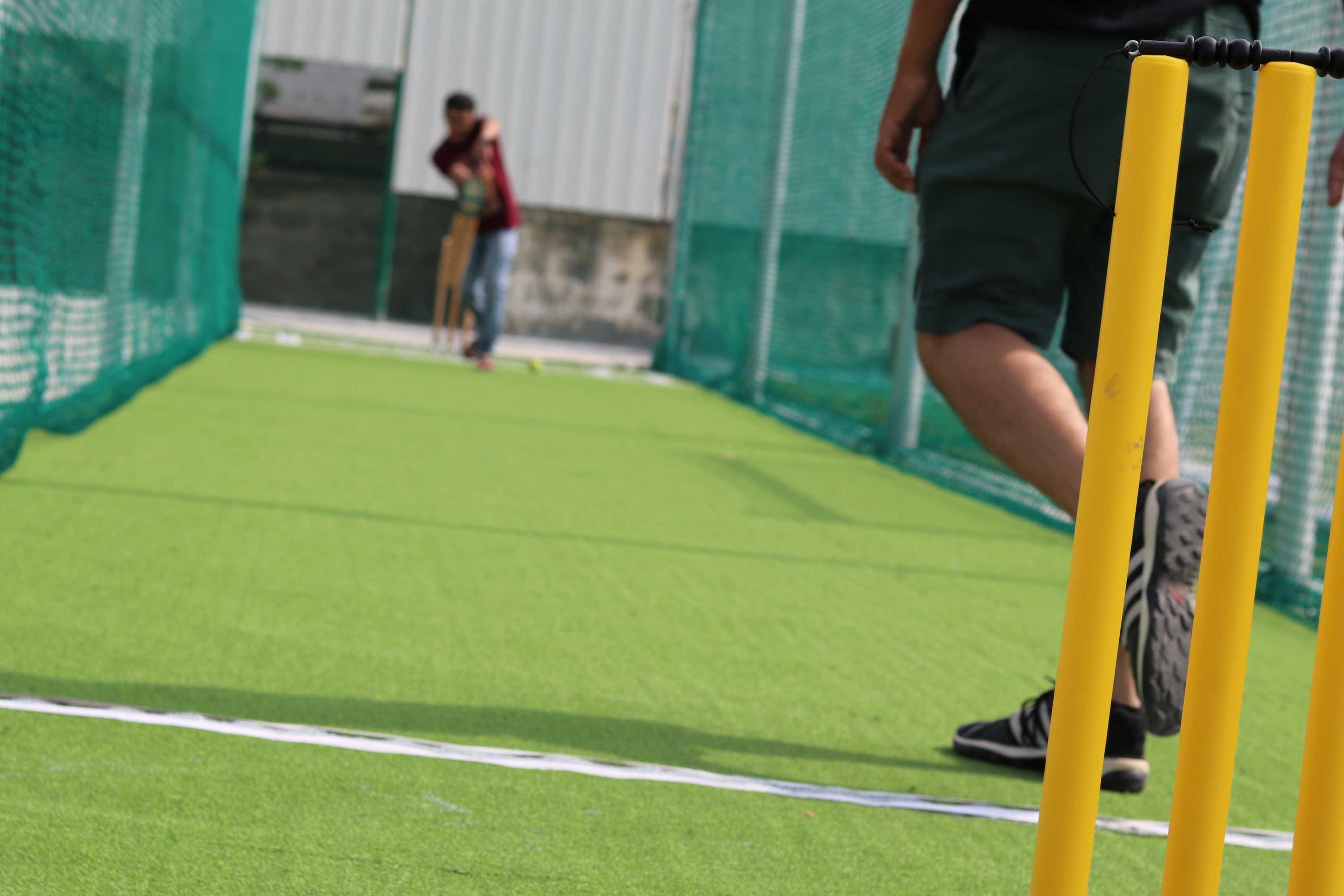 Turf photo 10