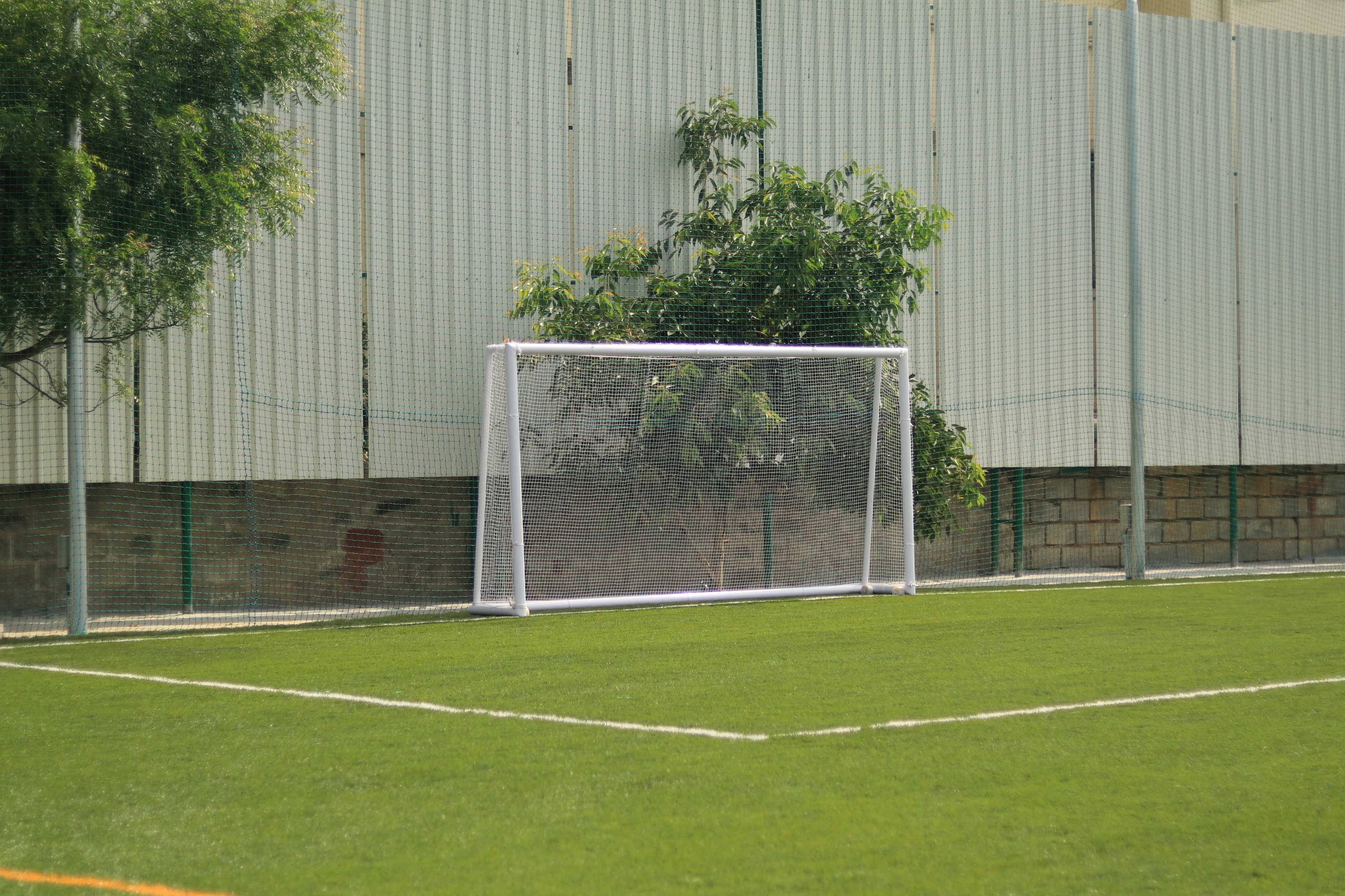 Turf photo 9