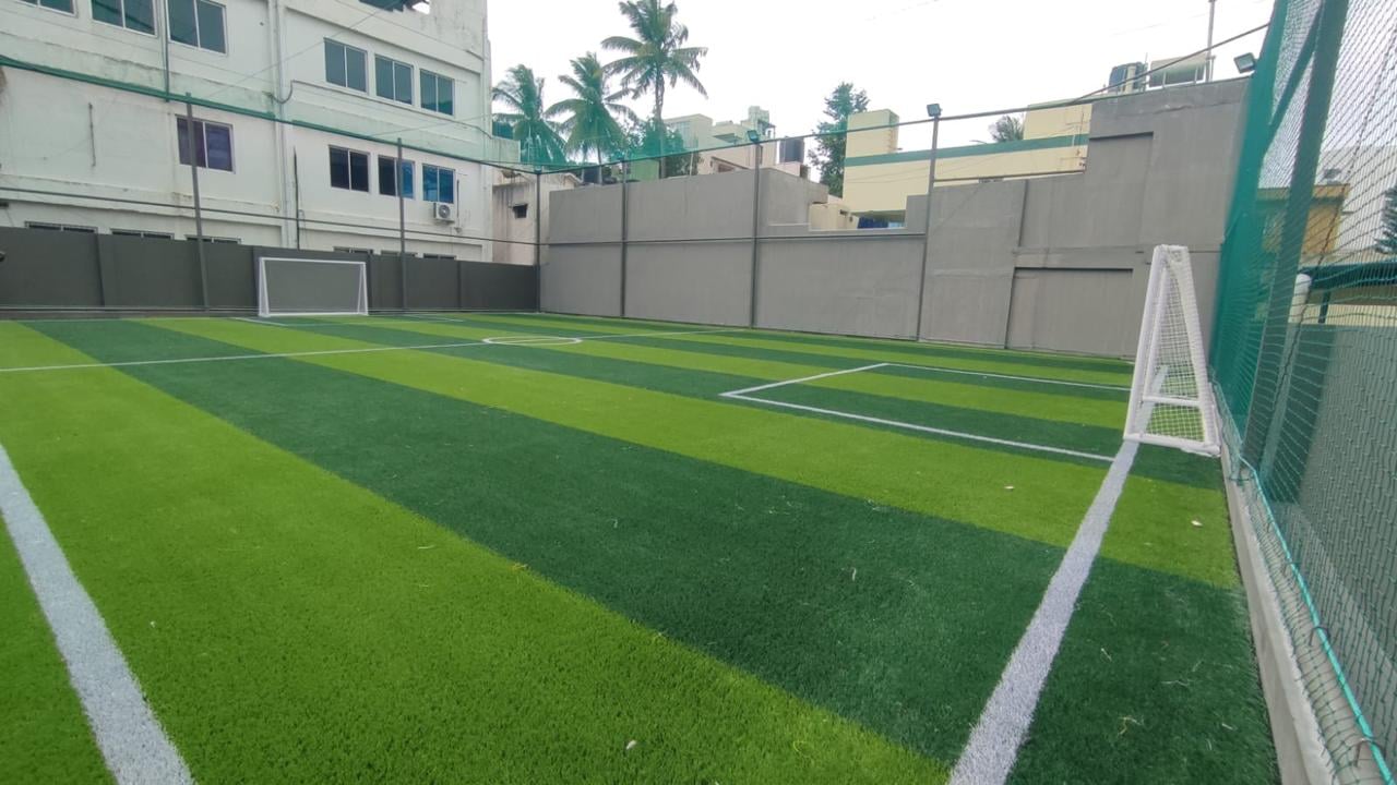 Turf photo 5
