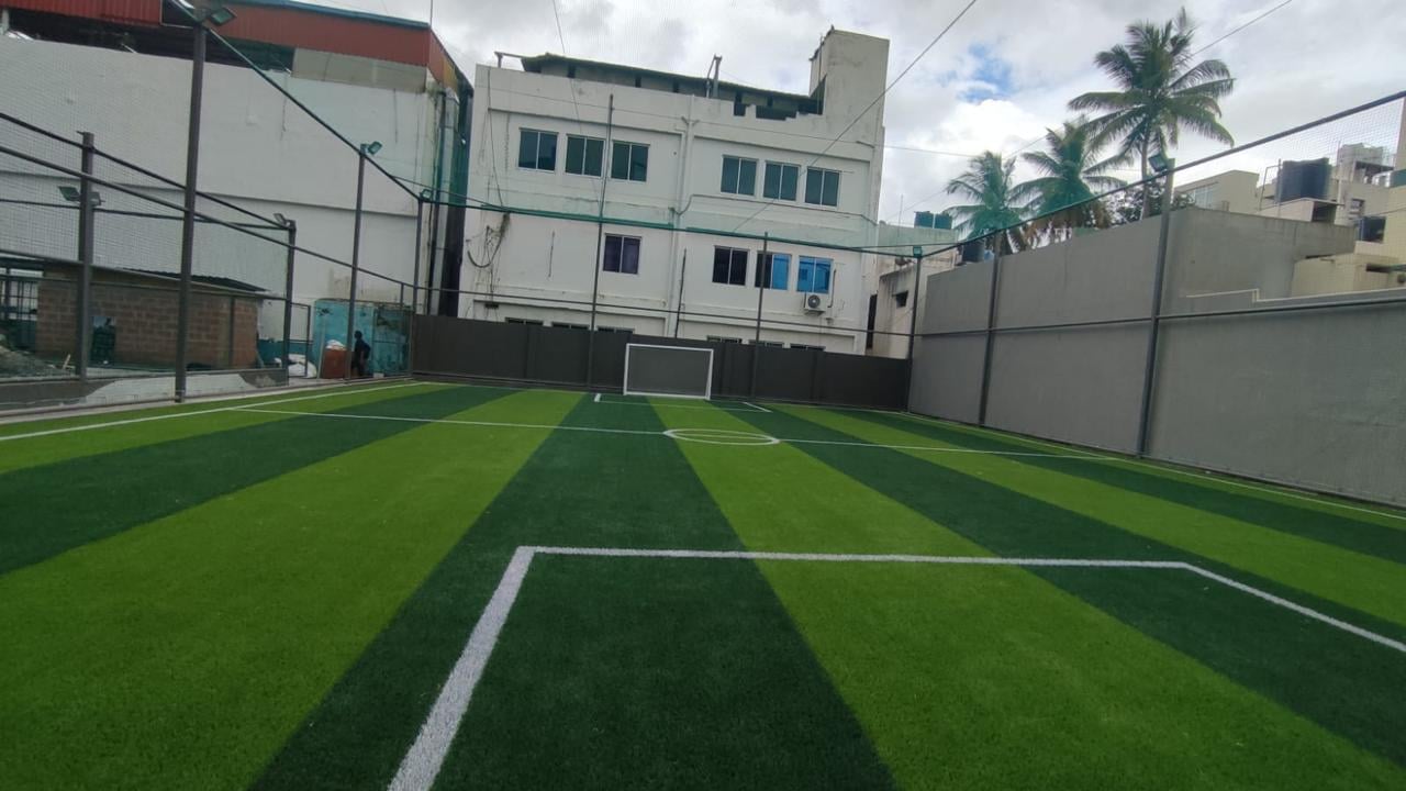 Turf photo 6