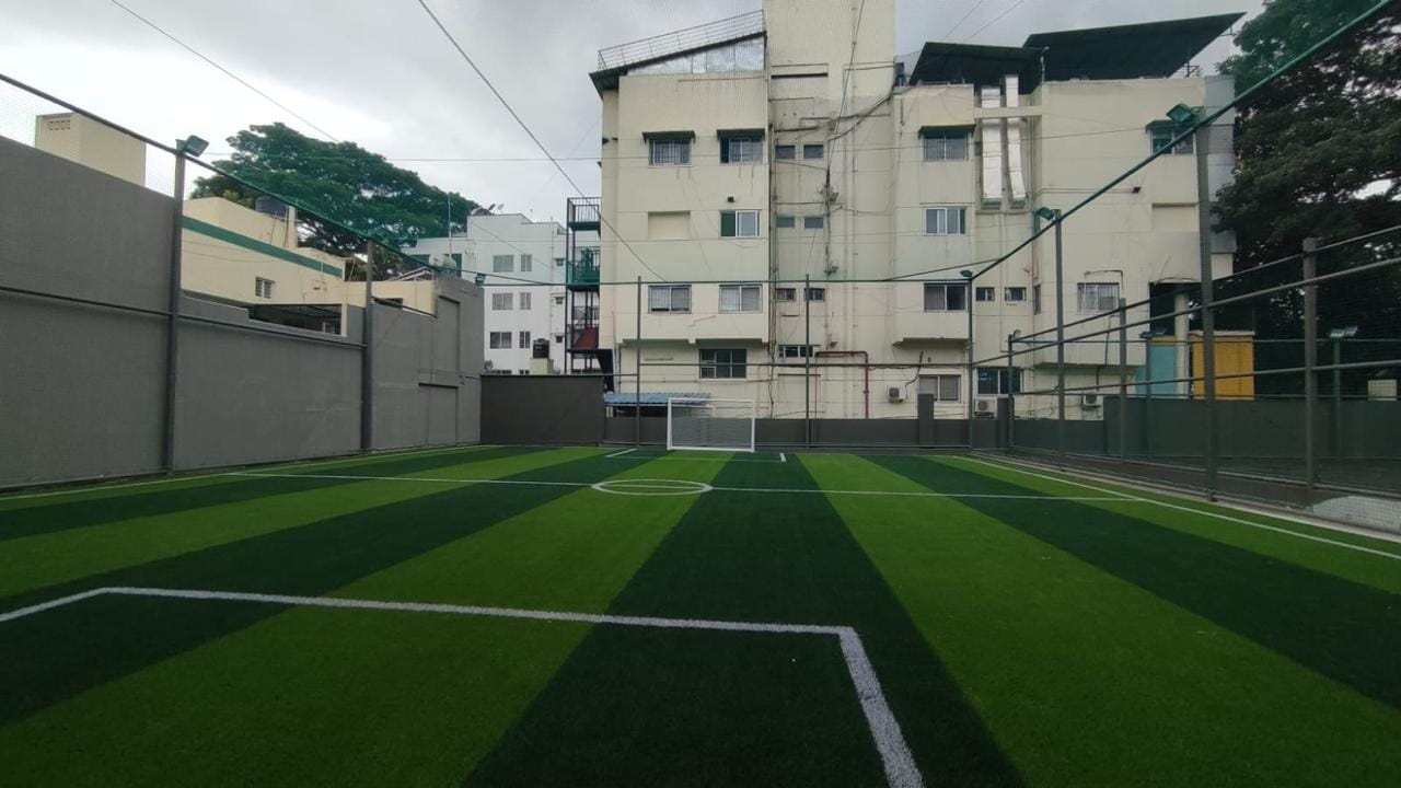 Turf photo 7