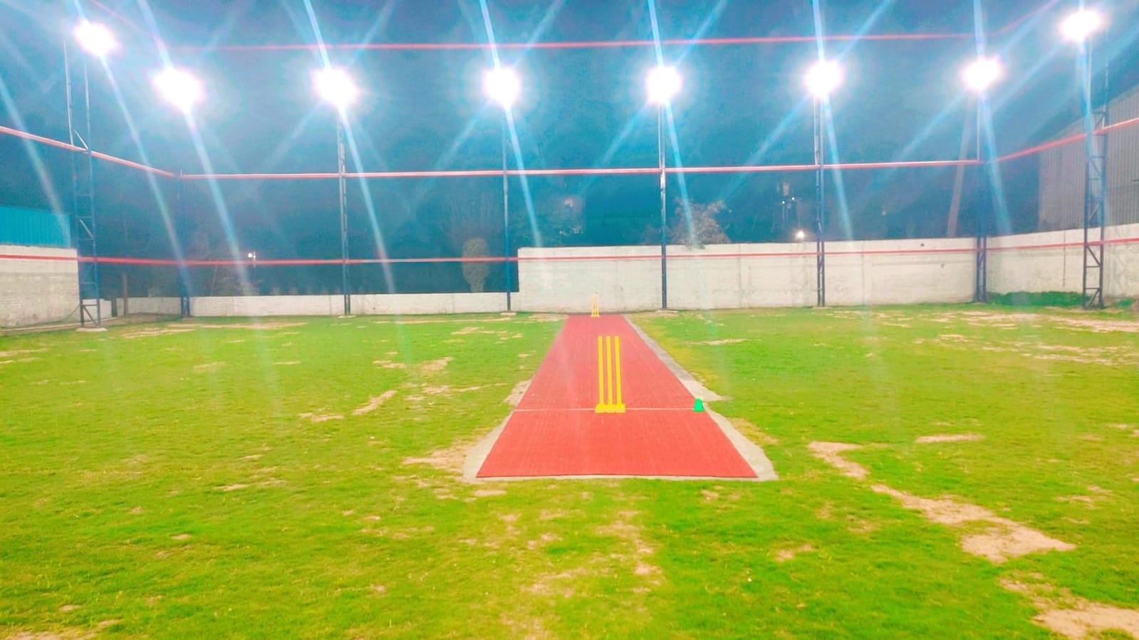 Turf photo 3