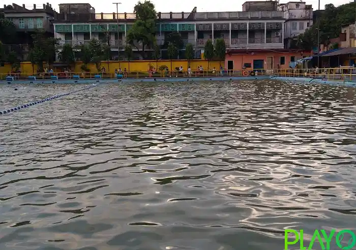 Vidyasagar Swimming Coaching Centre image
