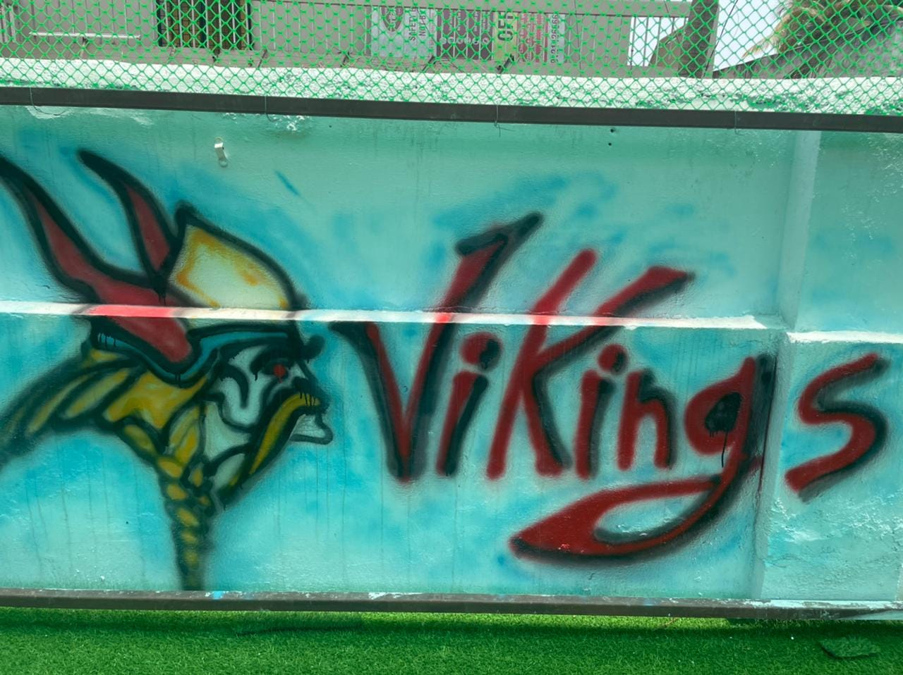Turf photo 8
